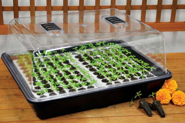 حفظ رطوبت برای پرورش بذر